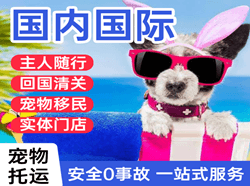 库车龟兹航空邮寄国际宠物托运 【国